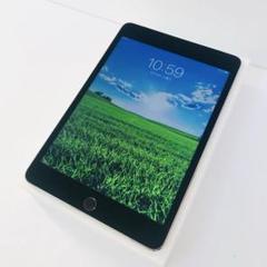 Apple iPad mini5 Wi-FiCellular 64GB 【美品】