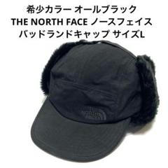 THE NORTH FACE ポイント10% ザ ノース フェイス バッドランド