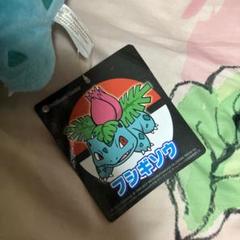 ポケモンセンター フシギソウ カメール リザード ぬいぐるみ