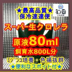 ★翌日着速達便★スーパー生クロレラ原液80mlめだか金魚色揚針子PSB稚魚F