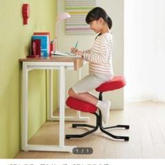 kazuyoshi様専用 バランスチェア レッド×ブラック