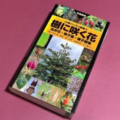 野に咲く花、樹に咲く花　5冊セット 81mIIj5X0wL._UF350,350_QL50_.jpg