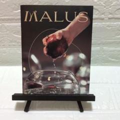 ✨新品✨ONEUS MALUS ソホ