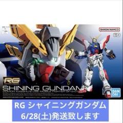 RG シャイニングガンダム バンダイ 新品 機動武闘伝Gガンダム 6