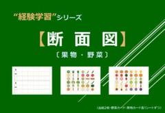【断面図】〔野菜・果物〕経験学習シリーズ　小学校受験　問題集　データ譲渡可のサムネイル