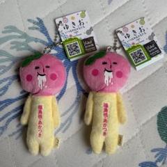 ゆきお 福島限定 あかつき 2点セット