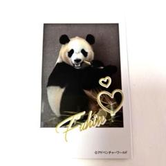 上野松坂屋　限定ノベルティ　パンダフォト風カード 上野松坂屋 限定ノベルティ パンダフォト風カード - メルカリ