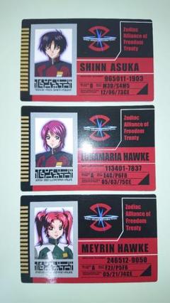 機動戦士ガンダムSEED DESTINY シン＆ルナ＆メイリン IDカードセット