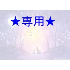Kazue Nakayaさま専用（原画）流れ星見つけた【A5／水彩／#2301