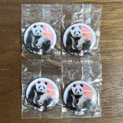 激☆レア♪ 上野動物園・パンダ・40周年記念・非売品、缶バッチ♪ 上野動物園 パンダとゾウの缶バッジ 4個セット 新品未開封