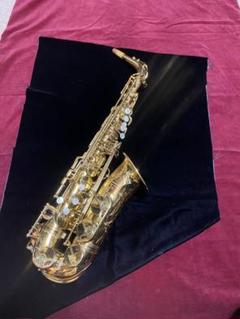 ミスターシュレック　セルマープレミアムリード新品　3.5番 71-zMHyciXL._UF350,350_QL50_.jpg