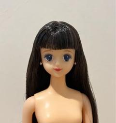 ジェニーフレンドシオン　フルポーズボディー黒髪ストレートシオン シオンさんお迎え【ジェニーフレンド】 | ほっぺちゃん大好き