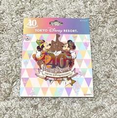 TDR 40周年 フレーム付き ピンバッジ セット 数量限定 匿名配送