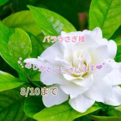 バラうさぎ様 おまとめパーツ(˘͈ᵕ ˘͈ *)♡