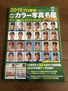 プロ野球全選手カラー写真名鑑&パーフェクトDATA BOOK 2019