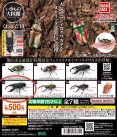 いきもの大図鑑　オオクワガタ　蛹　とまり木　スマトラオオヒラタ　等 オオクワガタ 蛹 とまり木 スマトラオオヒラタ 等 - メルカリ