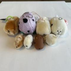 ★まとめ売り★カピバラさん ミニミニマスコット ぬいぐるみ大集合