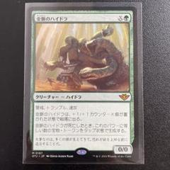【MTG】金脈のハイドラ　4枚組 金脈のハイドラ｜カードギャラリー｜マジック：ザ・ギャザリング