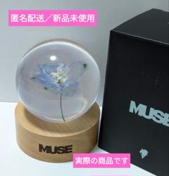 JIMIN MUSE ペーパーウエイト BTS JIMIN ジミン MUSE PAPER WEIGHT ペーパーウェイト