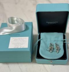 Tiffany & Co. シルバーピアス オリジナルポーチ付き アクセサリー