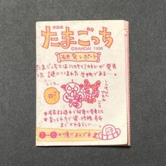 英語版たまごっち　日本語取扱説明書　TAMAGOTCHI　海外　バンダイ