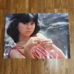 薬師丸ひろ子　③　ビニール財布　当時物 薬師丸ひろ子 ③ ビニール財布 当時物