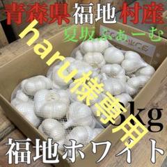 福地村産　土付き　L 5kg 青森県産にんにく　半生　半乾燥　夏坂ふぁーむ 福地村産 土付き L 5kg 青森県産にんにく 半生 半乾燥 夏坂ふぁ