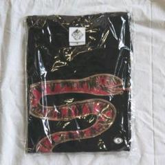 クロマニヨンズ　マッドシェイクス　レコード ザ・クロマニヨンズ マッドシェイクス MAD SHAKES LP レコード