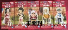 ワンピース ワールドコレクタブルフィギュア　女ヶ島　全5種セット