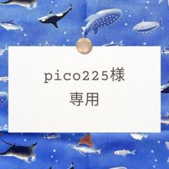 pico225【手提げ/ランチョンマット/お弁当袋】ハンドメイドオーダー pico225様専用【手提げ/ランチョンマット/お弁当袋