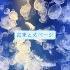 ※【重要】プロフ必読※ Sakura様 リクエスト 4点 まとめ商品 さくら♡プロフ必読様 リクエスト 4点 まとめ商品 - メルカリ
