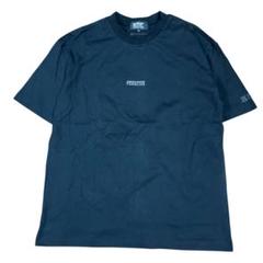 美品　ANREALAGE ブラック Tシャツ Mサイズ