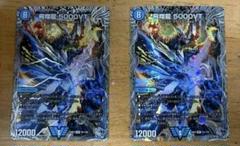 2025年最新】飛翔龍 5000VTの人気アイテム - メルカリ