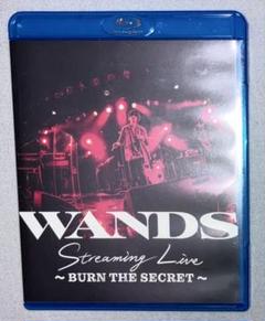 user_123b8c18！WANDS Blu-ray セット Amazon.co.jp: WANDS Live Tour 2024 ~ BOLD ~ [Blu-ray