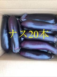 野菜 ナス20本 宮崎県産 送料込み