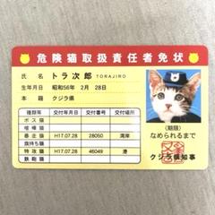 2025年最新】なめ猫カードの人気アイテム - メルカリ