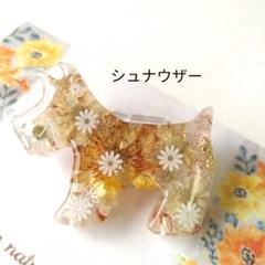 sale【シュナウザー】レジンヘアゴム ブローチ ペンダント 犬