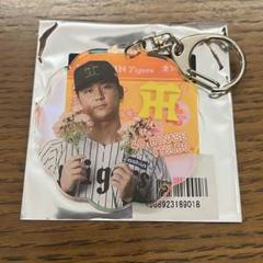 2025年最新】井坪陽生の人気アイテム - メルカリ