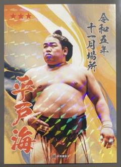 相撲 カード 平戸海 大相撲 力士 両国国技館 トレカ