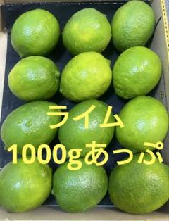 これからの季節重宝します　ライムコンパクトBOXに詰めて1000gあっぷのサムネイル