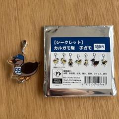 ◾️ファイターズ　カルガモ隊　子ガモ　レイエス