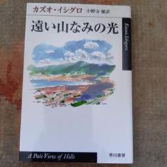 遠い山なみの光
