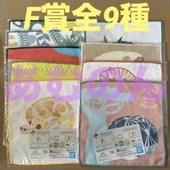 一番くじ 爬虫類＆両生類　F賞 タオルコレクション　全9種 コンプリート