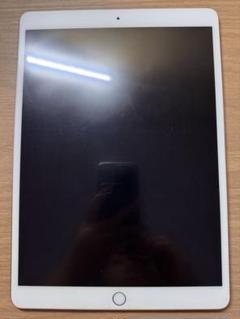 Apple iPad Air 2 64G 本体 傷・凹みあり、箱無し Apple iPad Air 2 64G 本体 傷・凹みあり、箱無し