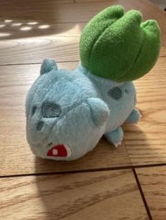 【美品】フシギダネ　ぬいぐるみ　タカラトミー【2012年製】 61Ttp2aq5XS._UF350,350_QL50_.jpg