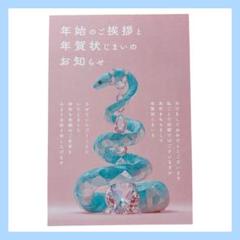 PAPIRAY 年賀状用紙 蛇デザイン 10枚入り