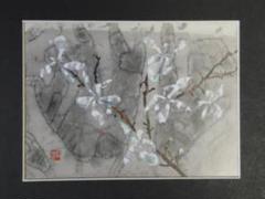 片岡鶴太郎、【長月】、希少な額装用画集より、新品額装付、状態