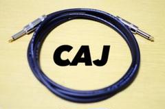 SS型 II型 CAJ 3m ケーブル ギターシールド