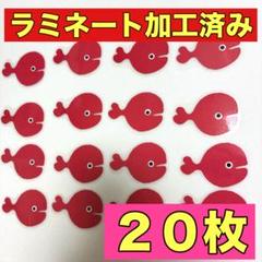 きんぎょがにげた20匹　ラミネート加工あり　壁面　保育教材
