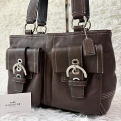 未使用級✨ COACH パイソン柄 ワンショルダーバック ソーホー y2k 希少 coach コーチ one shoulder bag ワンショルダーバッグ soho